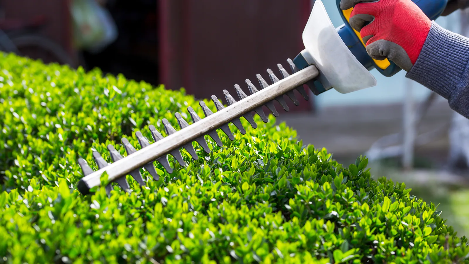 Hedge Cutting by Nationwide Driveways