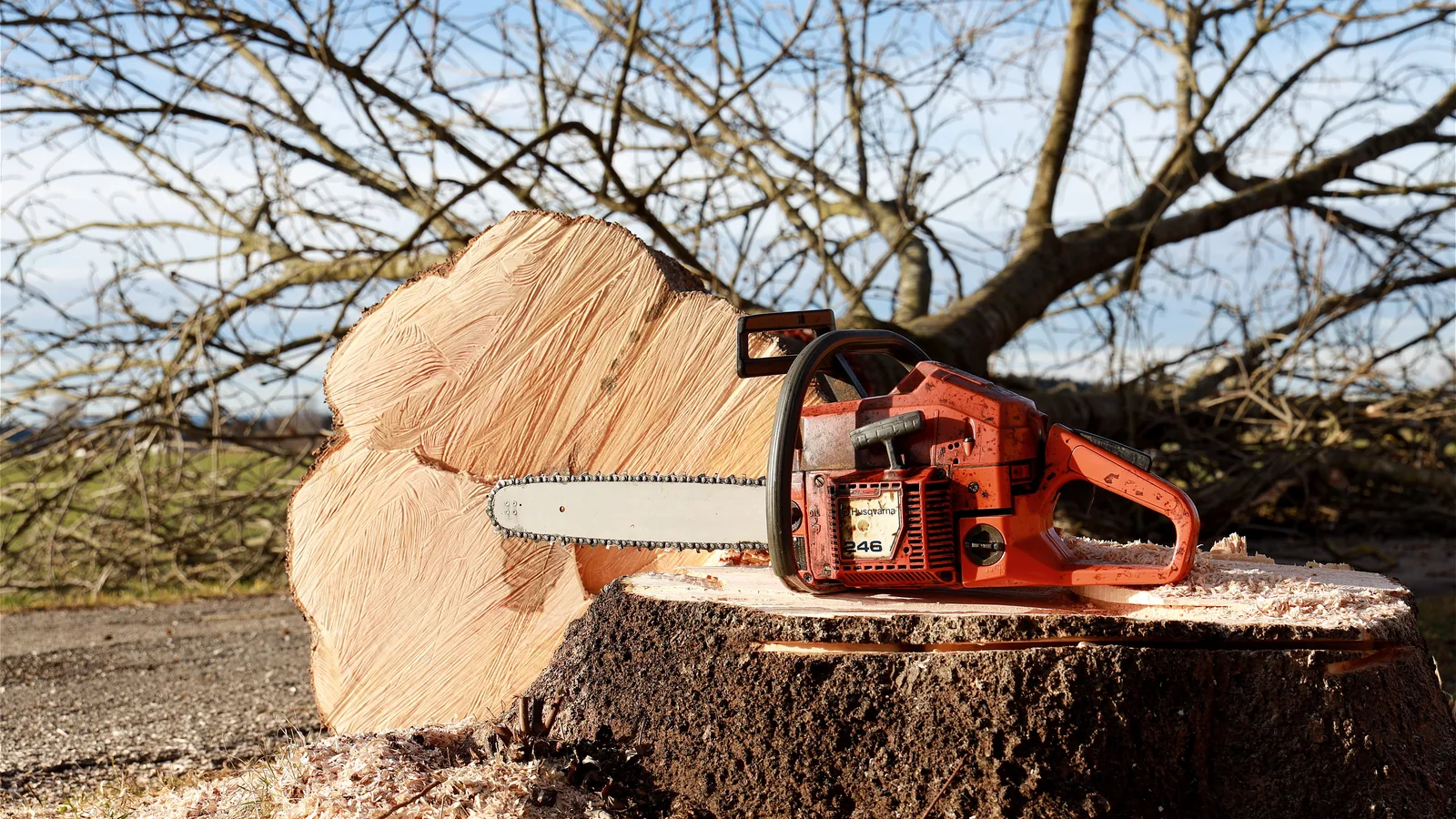 Stump Grinding by Nationwide Driveways
